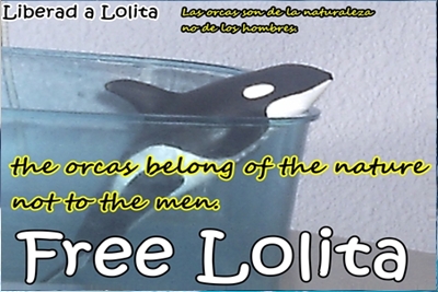 Save Lolita